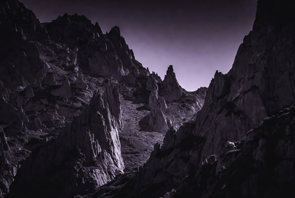 FinDomNZ — New Zealand findom community where we are today
